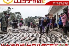 江西手机报2018-2-3图片
