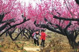 大嵖岈品牌乘势而上 全域旅游绽新姿图片