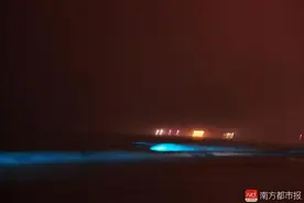 深圳海滩再现蓝色“荧光海” 场面绚丽如仙境图片