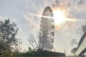 赏花人次超17万，龙潭公园被挤爆！问题也来了图片