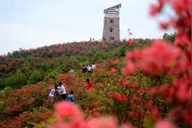 瑞安这个地方入选浙江最美赏花胜地，人间四月约不约图片