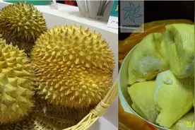 榴莲的“香味”是如何产生的？图片