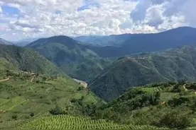 滇中楚雄：野生动物的大家园图片