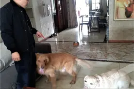 蟊贼大白天行窃民宅 看到柜子里的衣服害怕了图片