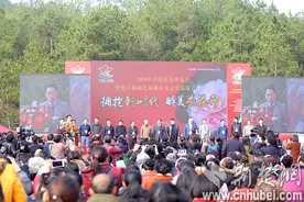 2018中国茶花博览会在麻城开幕 千种茶花争奇斗艳助推产业发展图片