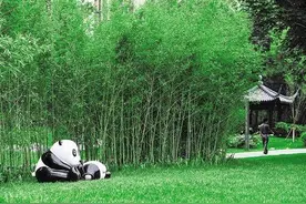 三环路熊猫绿道预计6月建成开放，19处已提前亮相图片
