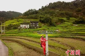 国网重庆电力改造922个小城镇电网图片