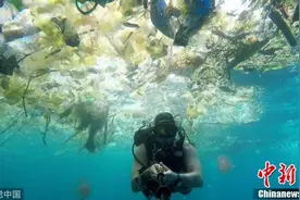 巴厘岛海洋垃圾成灾 大量塑料垃圾海水中漂浮图片