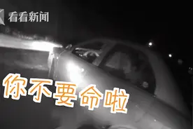 不要命！实习期驾车高速逆行 被拦后小伙怪导航出错：它让我掉头图片