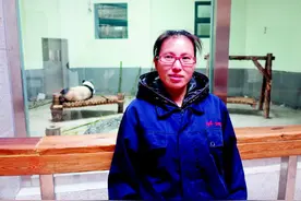女硕士坚守动物饲养一线6年 如今成“国宝”妈妈图片