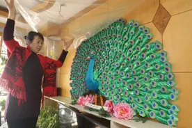 郑州民间纸雕大师成网红!两万张纸叠成孔雀,用纸改变人生图片