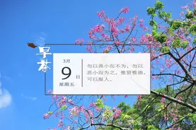 “中国人的败类”被依法处以行政拘留8日｜新闻早茶图片