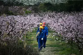 眉山供电：桃花山上的“别样风景”图片