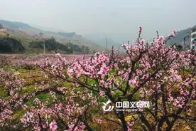 义乌这才刚“入春” 本周就将迎来“倒春寒”图片