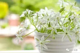 40条人生经验，现在知道还不算晚……（精辟）图片