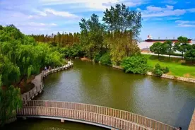 「植树节」乘公交直达这些枝繁叶茂的地方，来一次森林探险图片