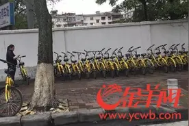 今晨广州很多小黄车还不了车还一直扣费？原来是网络故障图片