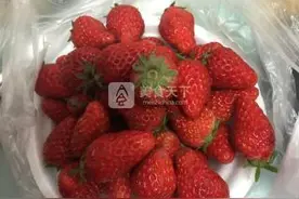 草莓冰沙图片