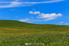 这个夏天和你一起去看草原图片