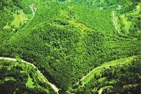 探访朱德故里景区 赏与众不同原生态图片