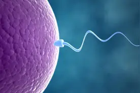 精子活力检测方法 检查有哪些忌宜图片