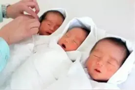 女子产下三胞胎竟有三个爹!真相让人震惊图片