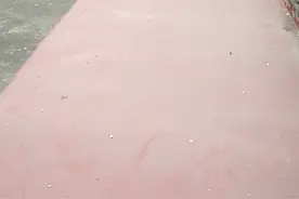 用匹匹梯补漏神液做屋顶防水可以用20年不漏水视频封面