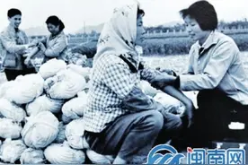 一批到期档案解密 看看改革开放之初的泉州风貌图片