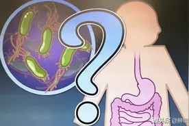 早期胃癌术后，根除HP是有益处的