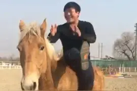 马匹没有马鞍怎么骑？？？