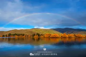 神奇的星空小镇Tekapo图片