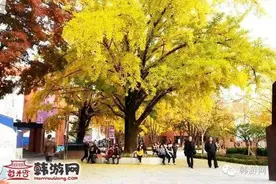 韩国欧巴最爱在这里“撩妹”图片