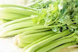 芹菜叶子究竟能不能吃？