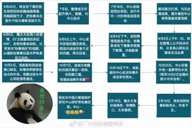 网友：“这真的是国宝吗？”刻板行为引人忧图片