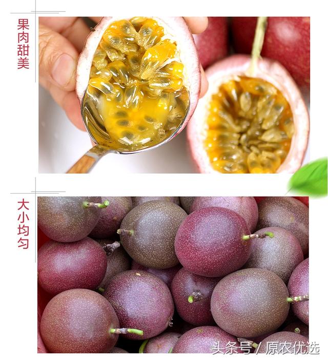 广西桂林荔浦紫香百香果--果汁之王 酸爽满口留香 新鲜上市