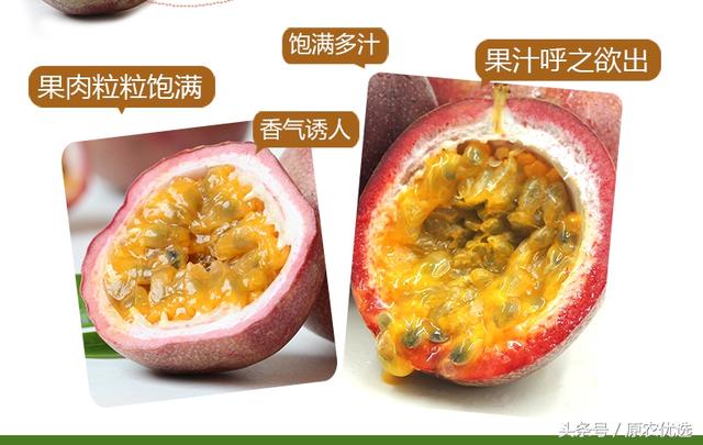 广西桂林荔浦紫香百香果--果汁之王 酸爽满口留香 新鲜上市