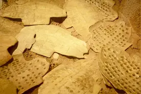 龙骨入药能治病？河南农村这块地的龙骨挖不完？专家揭秘背后真相