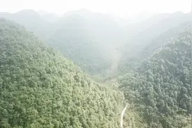 航拍|广西绿化面积全国前列，村民每年山林补贴每户几千块视频封面