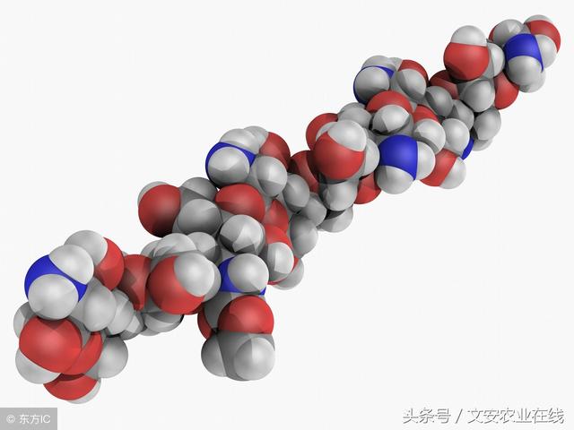 鐢熺墿鍒烘縺绱犳渶鍏ㄨВ閲婏紝浜斿ぇ绫伙紒