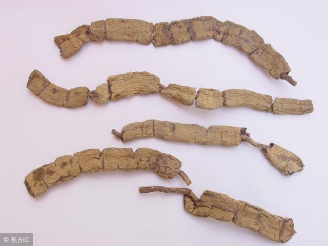 名贵中药的便宜替代品（一）