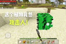 我的世界19：这种植物竟然有自我防御功能！这是传说中的反伤甲么