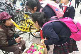 农村大姐把染色的小鸡仔带到学校门口卖，孩子们围着好奇的看视频封面