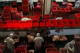 北京人吃的猪肉是这么来的：从自来水到廉租房 揭秘大国企图片