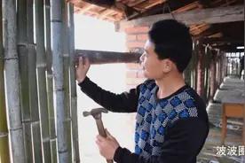 南方养殖黑山羊，小伙用竹子搭建羊棚，简单实用又省钱视频封面
