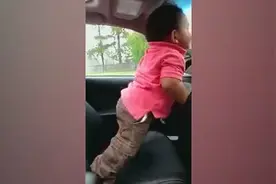 小男孩兴奋按喇叭 这动作这姿势太销魂哈视频封面