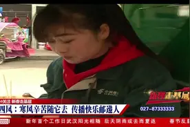 美女快递员寒风中每天投递近百件快递，她的新年愿望是……