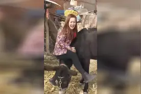 农村女子骑驴头，太搞笑了视频封面