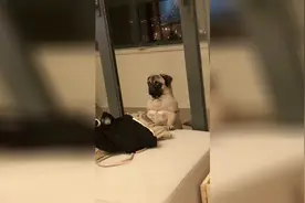 谁让你上来的啊 你就这么不乐意看我吗