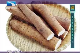 听说山药可以降血糖？记得实验有惊人发现……