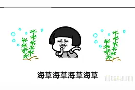 蘑菇头神曲《海草舞》比社会摇还火 太魔性了 听完忍不住跳起来